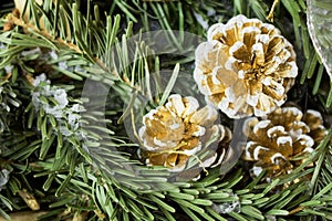 Snowy fir tree with fir-cone. Traditional New Year and Christmas motive for greeting card.