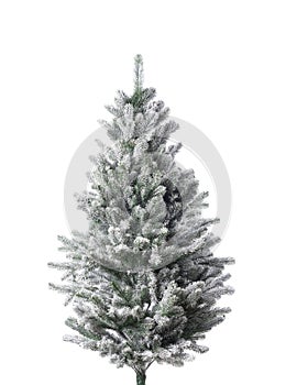 Snowy fir-tree isolated on a white background