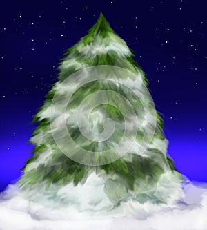 Snowy fir tree under stars