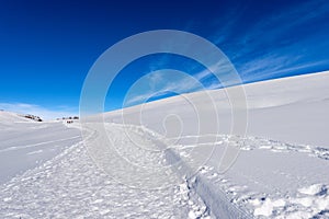 Snowy Footpath and Cross-country Ski Track on the Lessinia Plateau - Veneto Italy