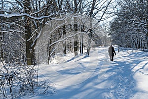 Snowy footpath with a walking woman