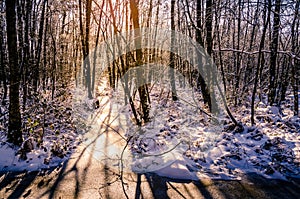 Snowy forest with frozen trees and ice river with the sun shining through the trees creating beautiful scenic winter wonderland