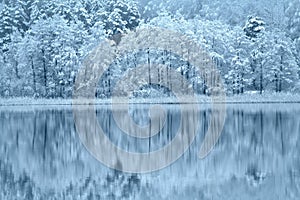 Snowy forest by the lake. Misty winter panorama.