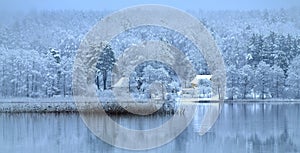 Snowy forest by the lake. Misty winter panorama.