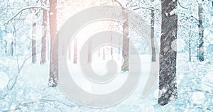 Snowy Forest Landscape In Winter Blizzard