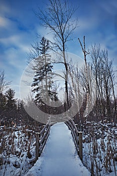 Snowy forest path over wooden bridge