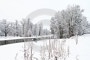 Snowy forest scene and river running through in winter.