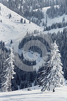 snowy forest with snowlift slope, people skiing