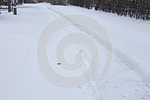 snowy and frosty weather in winter, a path cleared of snow in a city park