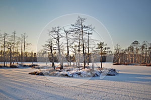 Snowy and frozen bog lake with tree-covered islands making long shadows under cold winter sun photo