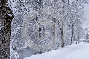 Snowy and frozen landscape in winter