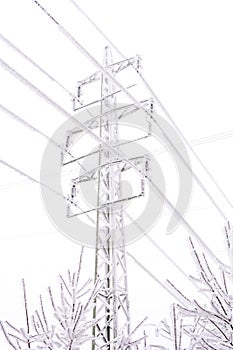 Snowy and frozen power lines
