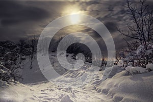 Snowy and frozen Top of hill with cloudy night sky and moonlight with city lights on the background. Forest in Slovakia on the mo