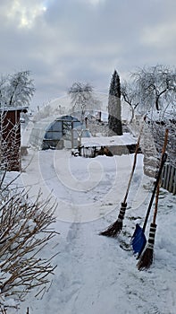 Snowy garden, village