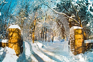 Snowy Gated Driveway