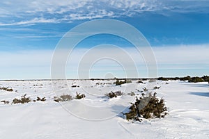 Snowy great plain landscape