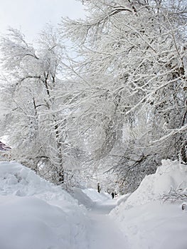 Snowy harsh winter in the city of Saratov, ice drifts