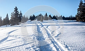 Snowy hiking trail with trees and clear sky in Mala Fatra mountains in Slovakia