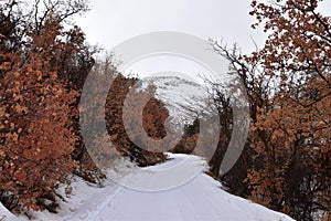 Snowy Hiking Trail views towards Lake Mountains Peak via Israel Canyon road towards Radio Towers in winter, Utah Lake, Wasatch Fro