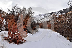 Snowy Hiking Trail views towards Lake Mountains Peak via Israel Canyon road towards Radio Towers in winter, Utah Lake, Wasatch Fro