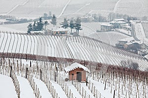 Snowy hills of Piedmont, Italy.