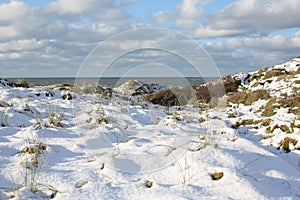 Snowy hills in the Thy National Park in Denmark