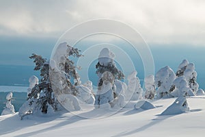 Snowy hilltop in Finnish Lapland