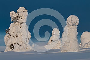 Snowy hilltop in Finnish Lapland