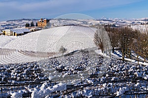 Snowy hilly landscape on the vineyards of the Langhe in the Unesco territory of Italy