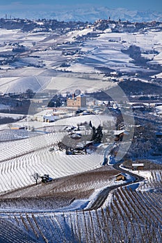 Snowy hilly landscape on the vineyards of the Langhe in the Unesco territory of Italy