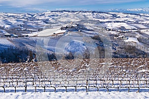 Snowy hilly landscape on the vineyards of the Langhe in the Unesco territory of Italy