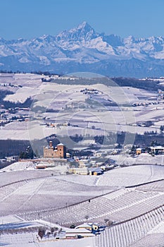 Snowy hilly landscape on the vineyards of the Langhe in the Unesco territory of Italy