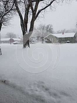 Snowy Homefront photo