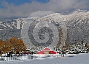 Snowy Horse Ranch