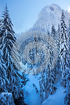 Snowy Ice Blue Stream Snow Mountain Snoqualme Pass Washington