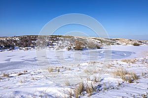 Snowy and ice winter landscape at the Amsterdamse Waterleidingduinen