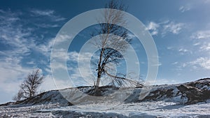 On a snowy and icy hill there are bare deciduous trees.