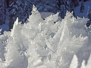 Snowy and icy Wonders of Nature