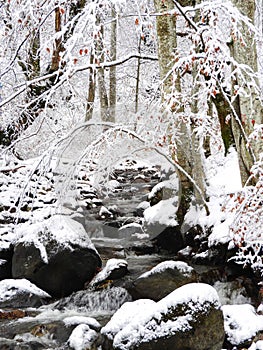 snowy idyll in the forest stream