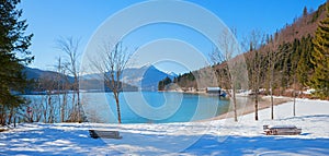 Snowy lake shore walchensee, upper bavaria in winter