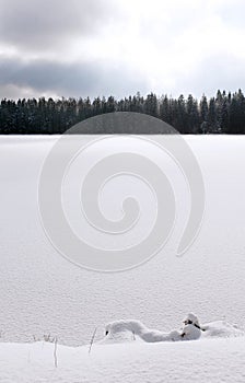Snowy lake in winter