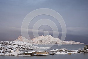 Snowy landscape