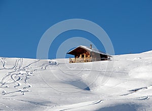 Snowy landscape