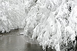 Snowy landscape of the Bayas river. photo