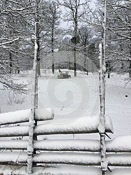 Snowy landscape with a feeding place for sheep