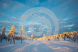Snowy landscape, frozen trees in winter in Saariselka, Lapland Finland