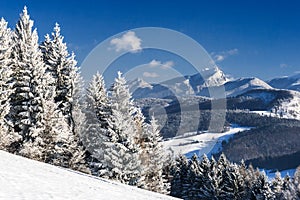 Snowy landscape