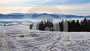 Zasněžená krajina s přízemní zimní mlhou a Nízké Tatry v pozadí