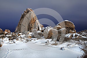 Snowy Landscape in Joshua Tree National Park