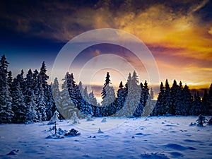 Snowy landscape with on a mounatin range with spruce covered with snow and rime sortly before sunset